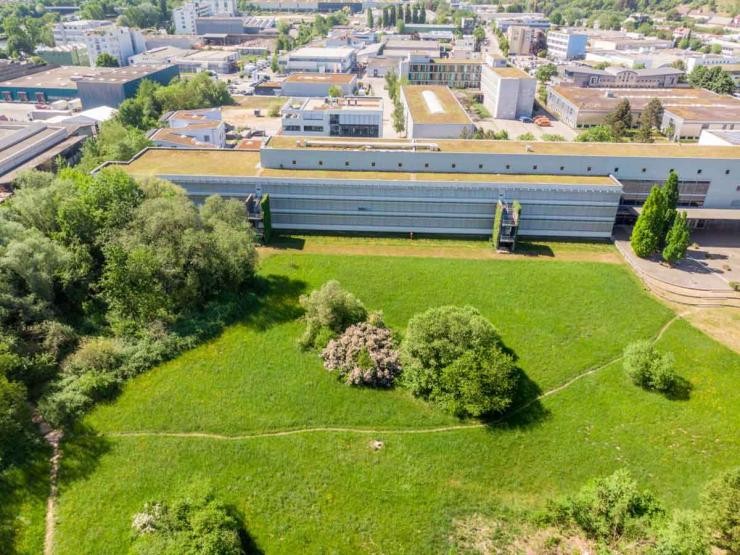John-F.-Kennedy-Schule Esslingen-Zell Luftbild der John-F.-Kennedy-Schule in Esslingen-Zell